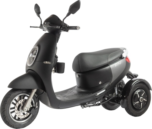 Read more about the article ES-3000 3 Wheeler